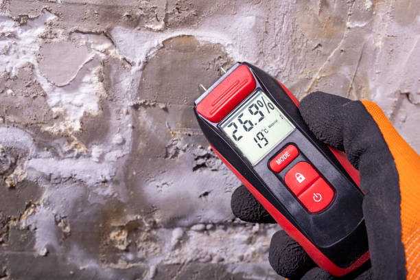 Best Mold Remediation for Schools in Kenton, OH